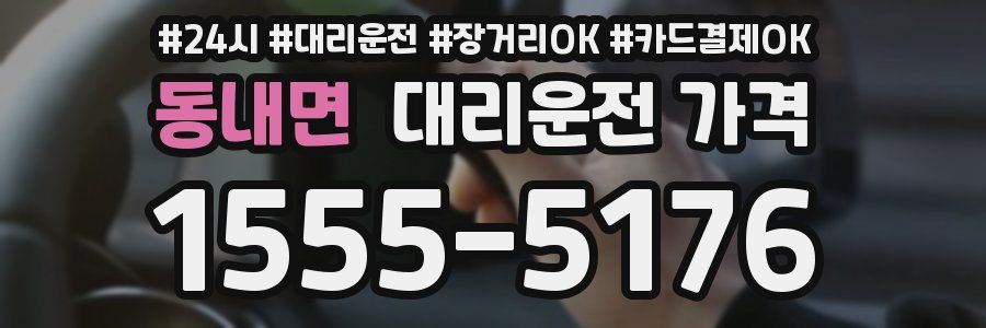 동내면 대리운전 가격