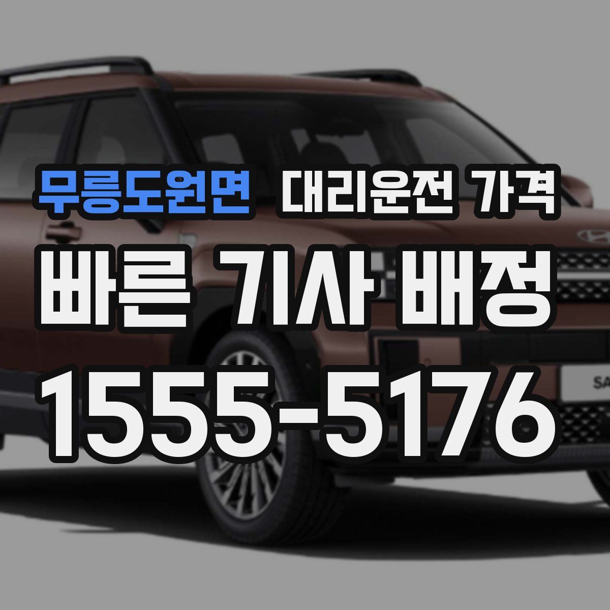 무릉도원면 대리운전