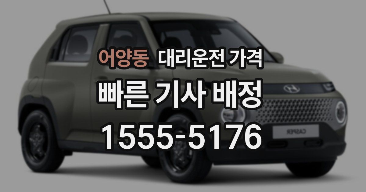 어양동 대리운전 가격