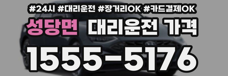성당면 대리운전 가격