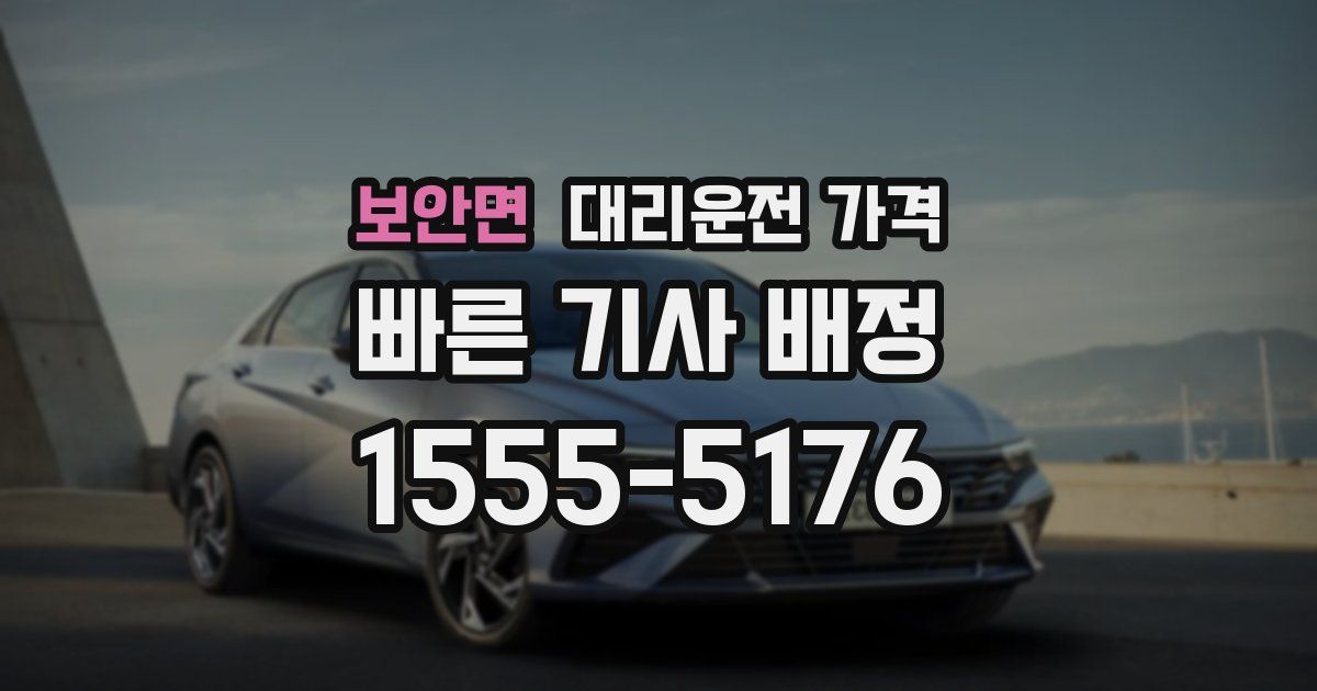 보안면 대리운전 가격