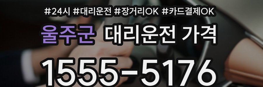 울주군 대리운전 가격