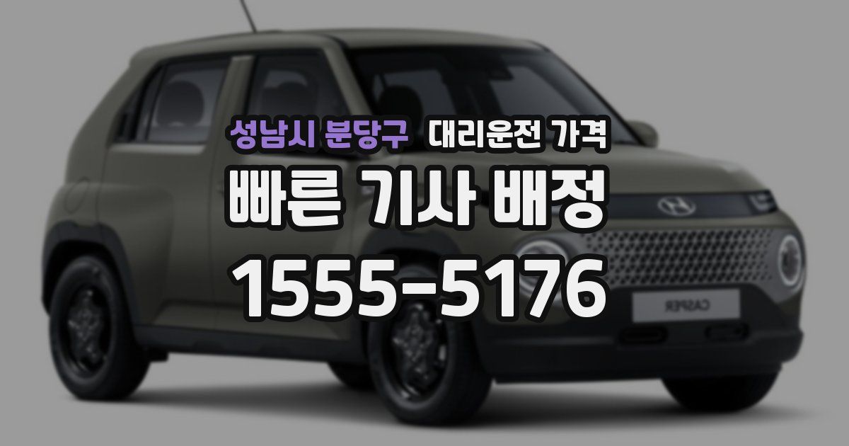 성남시 분당구 대리운전 가격