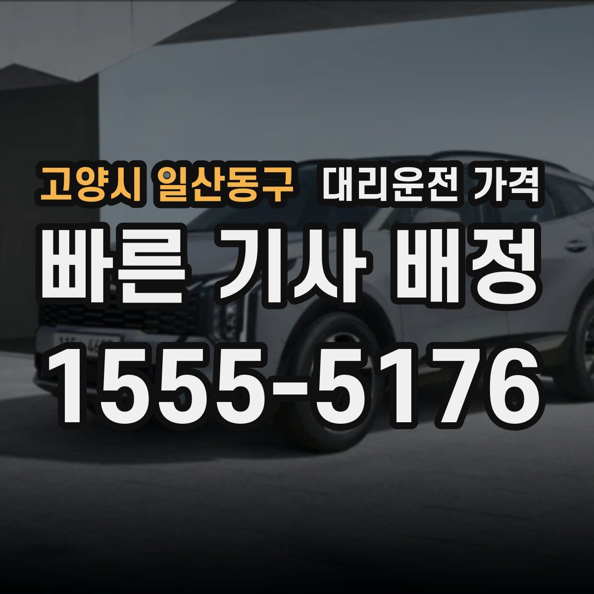 고양시 일산동구 대리운전