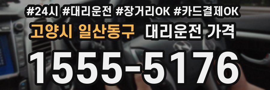 고양시 일산동구 대리운전 가격