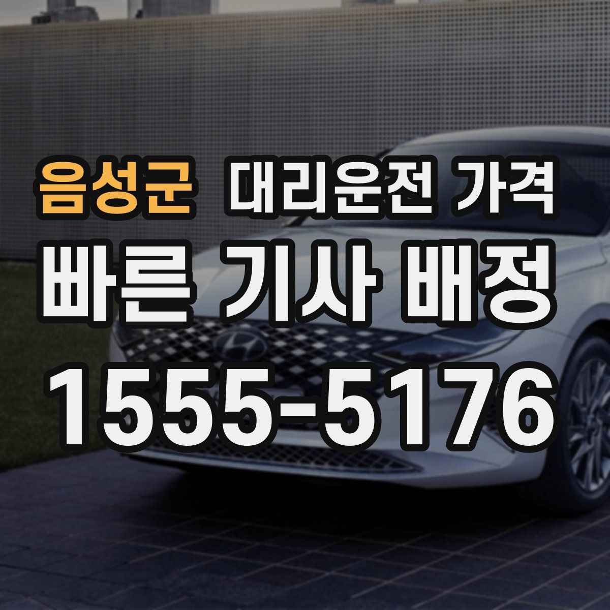 음성군 대리운전