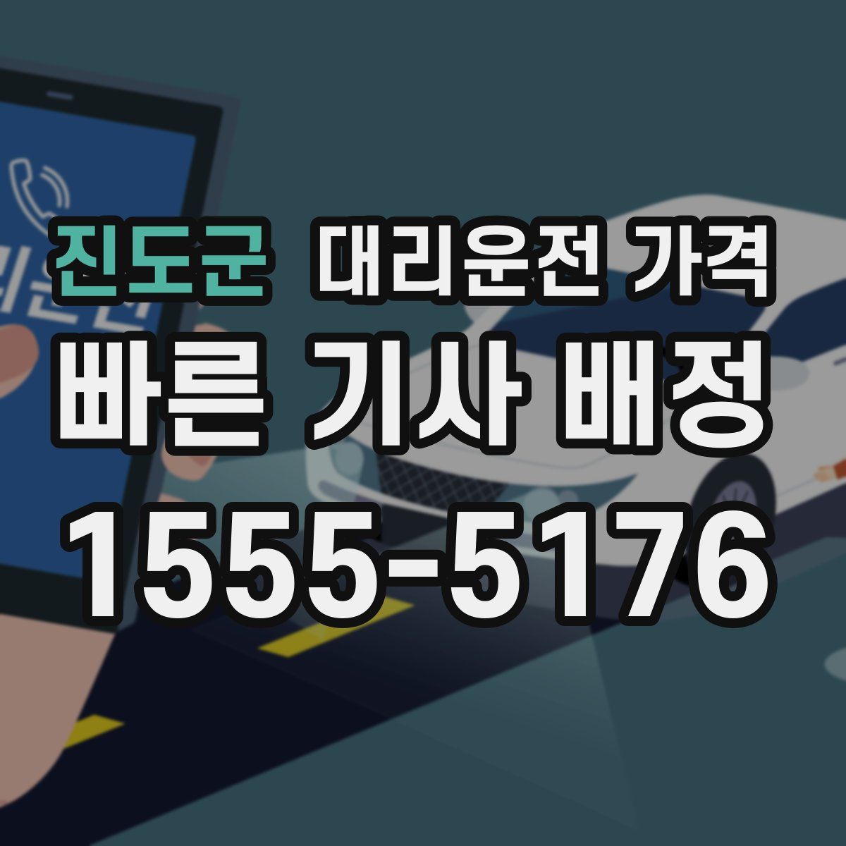 진도군 대리운전