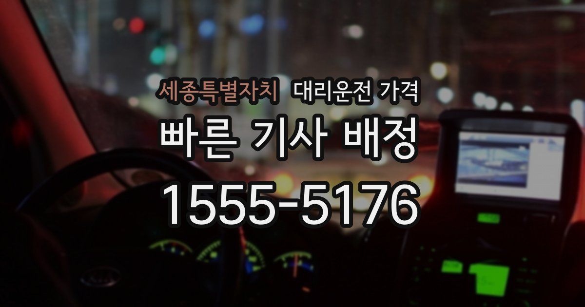 세종특별자치 대리운전 가격