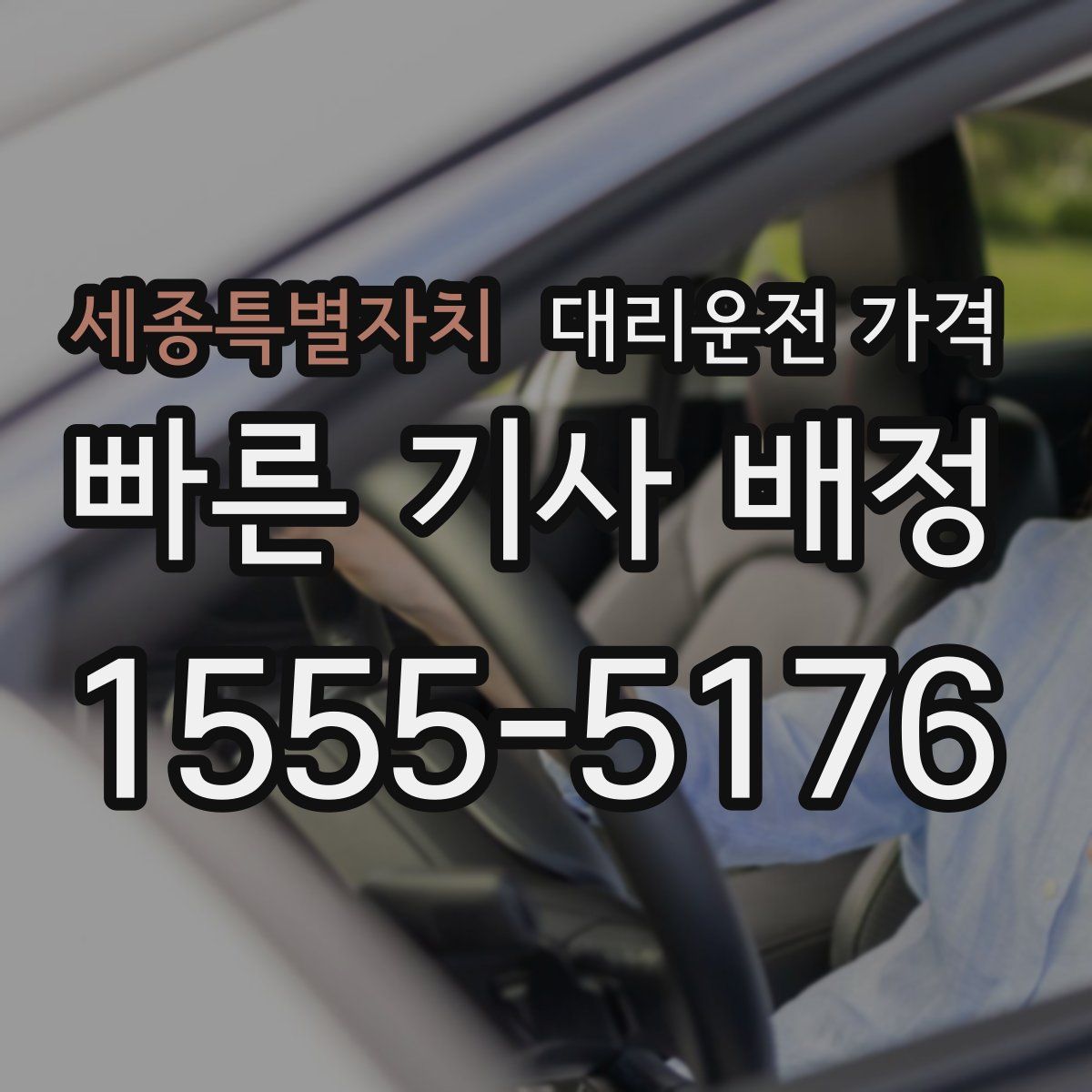 세종특별자치 대리운전