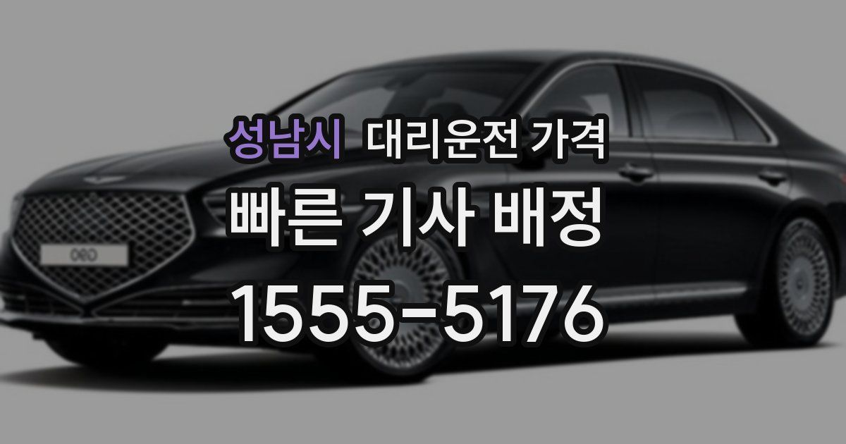 성남시 대리운전 가격