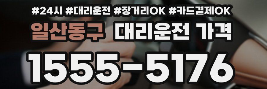 일산동구 대리운전 가격