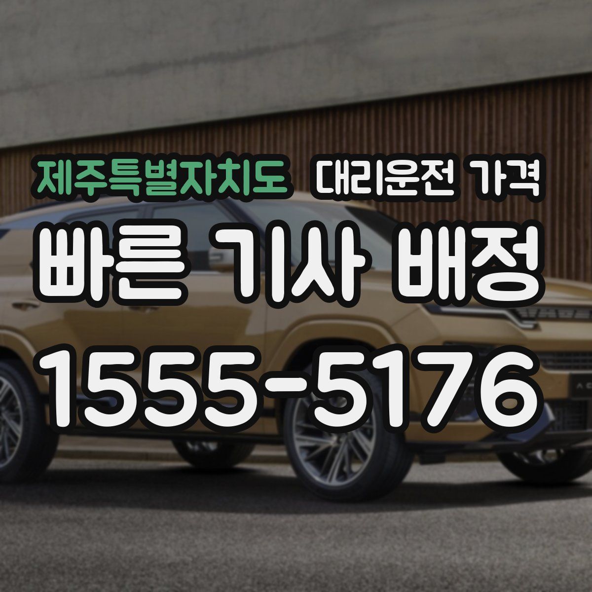 제주특별자치도 대리운전