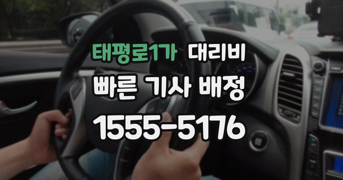 태평로1가 대리운전 가격
