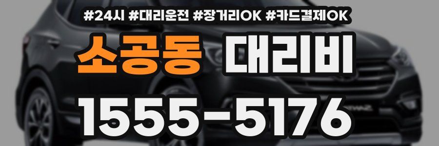 소공동 대리비