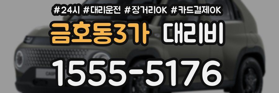 금호동3가 대리비