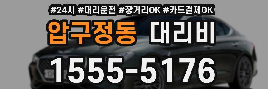 압구정동 대리비