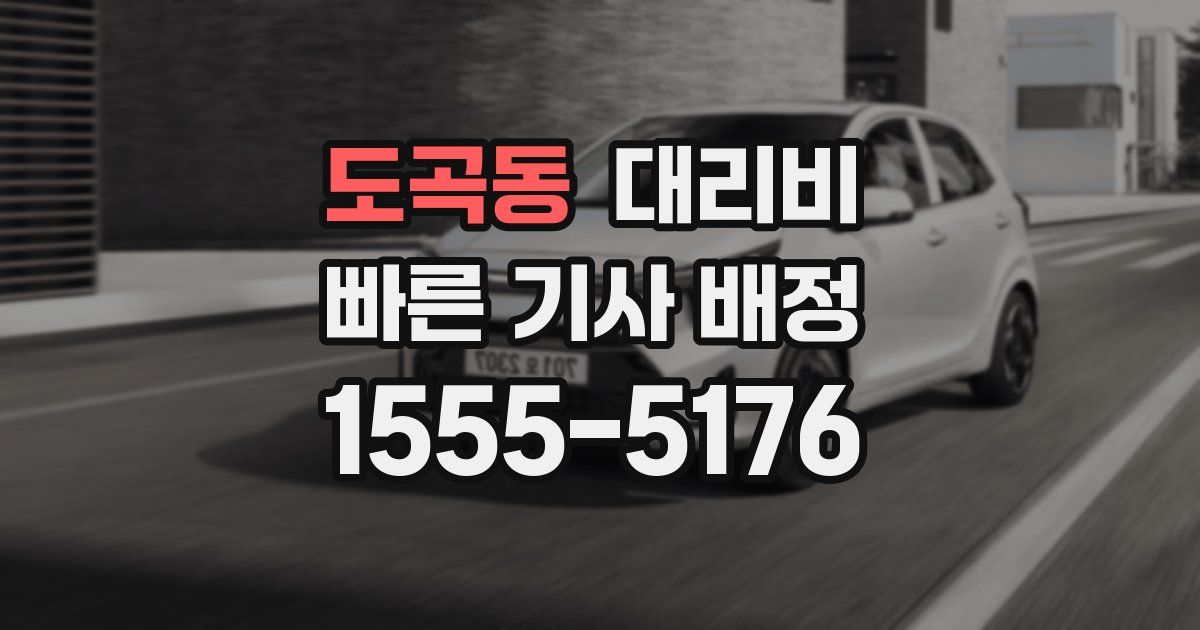 도곡동 대리운전 가격