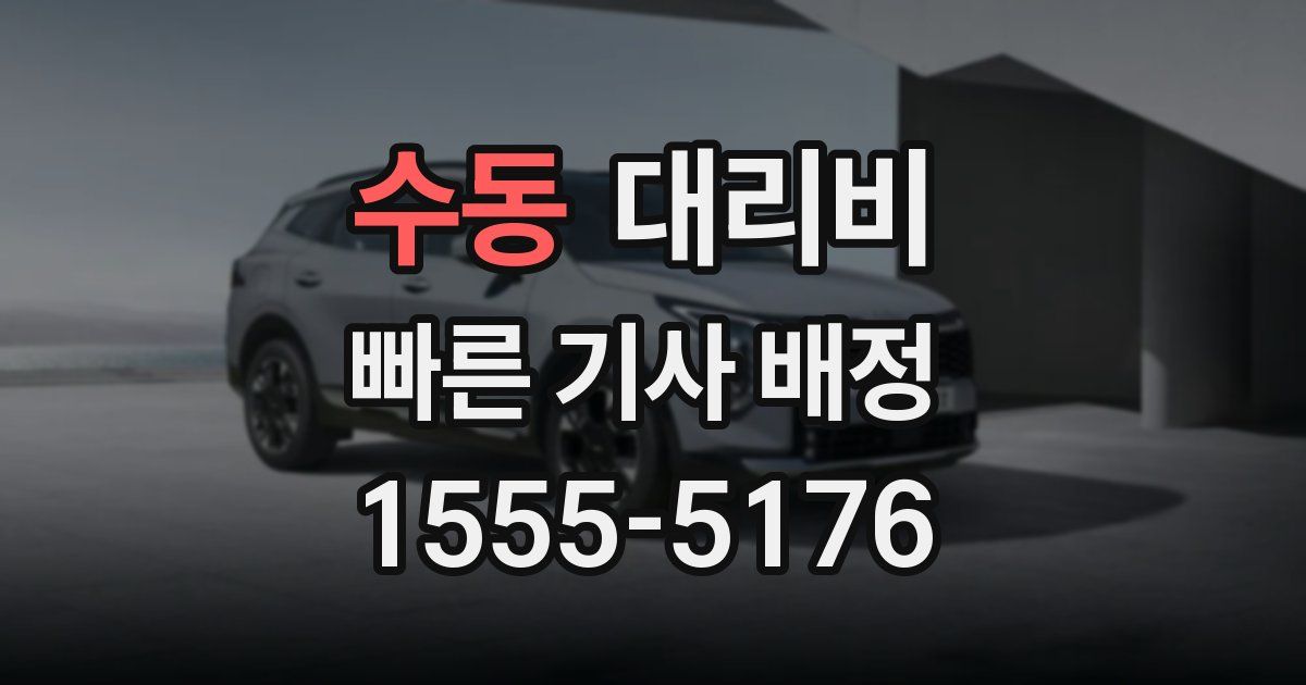 수동 대리운전 가격