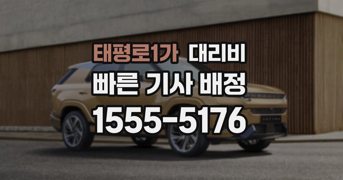 태평로1가 대리운전 가격