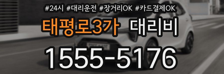 태평로3가 대리비