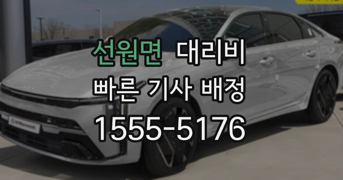 선원면 대리운전 가격