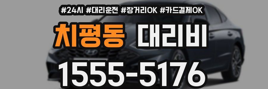 치평동 대리비