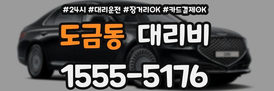 도금동 대리비
