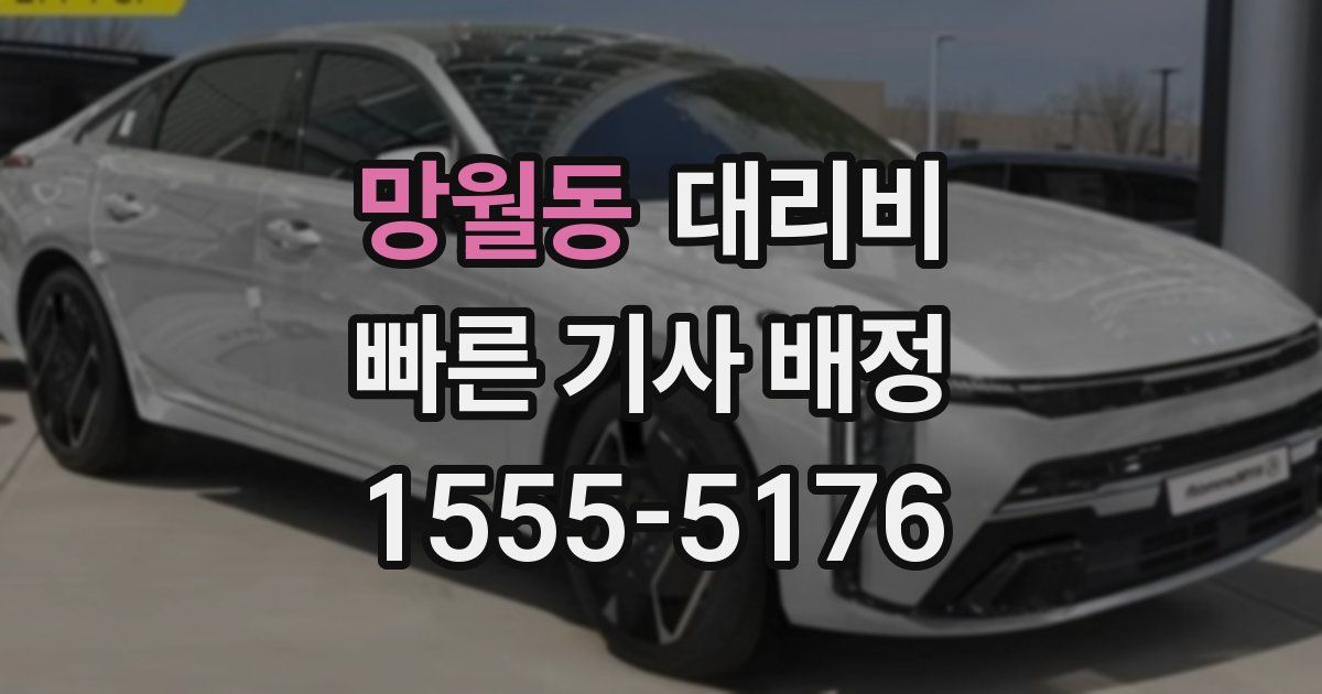 망월동 대리운전 가격