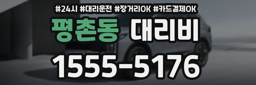 평촌동 대리비