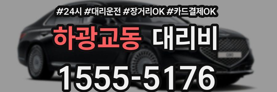 하광교동 대리비