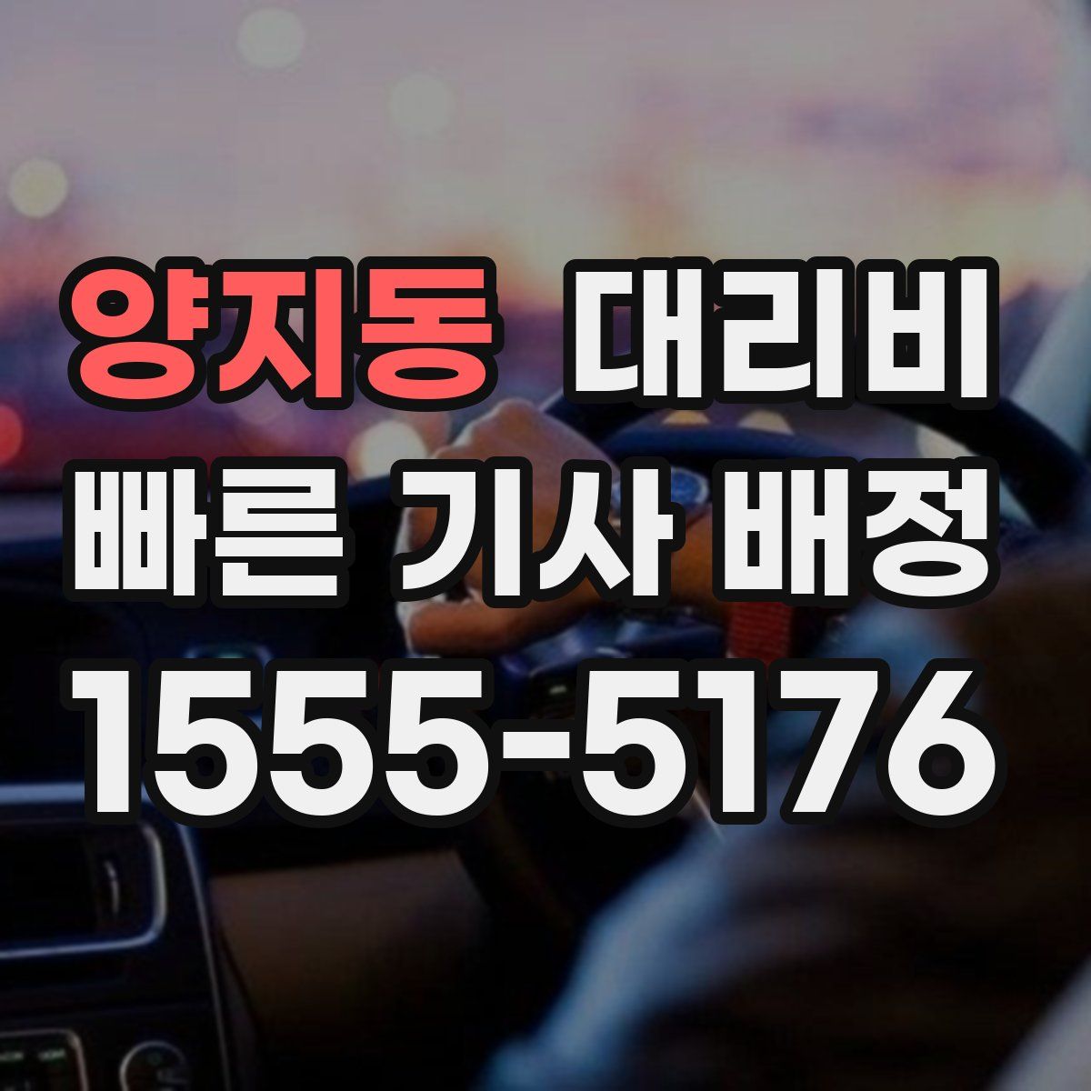 양지동 대리운전