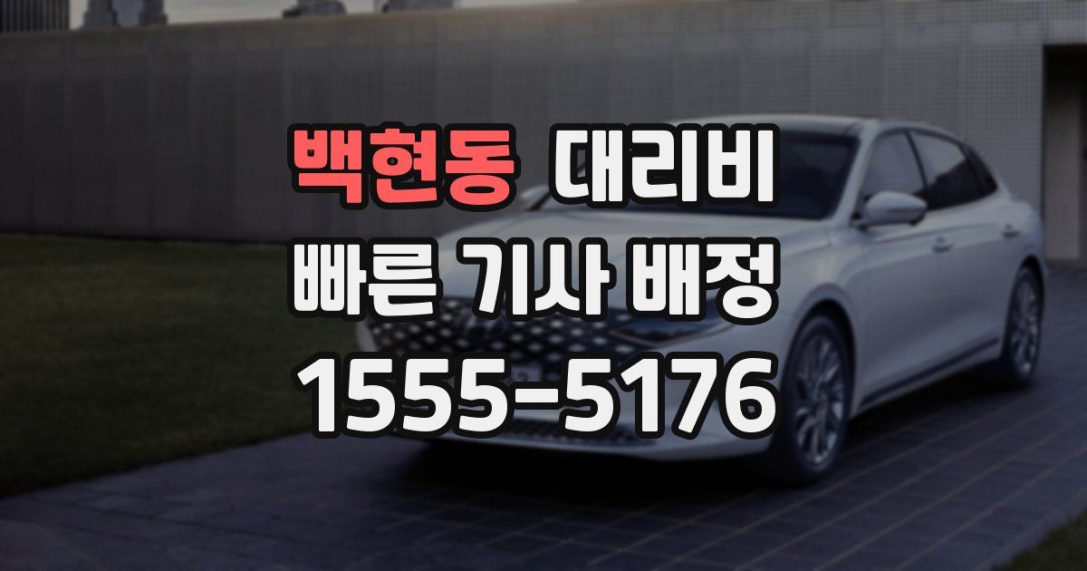 백현동 대리운전 가격