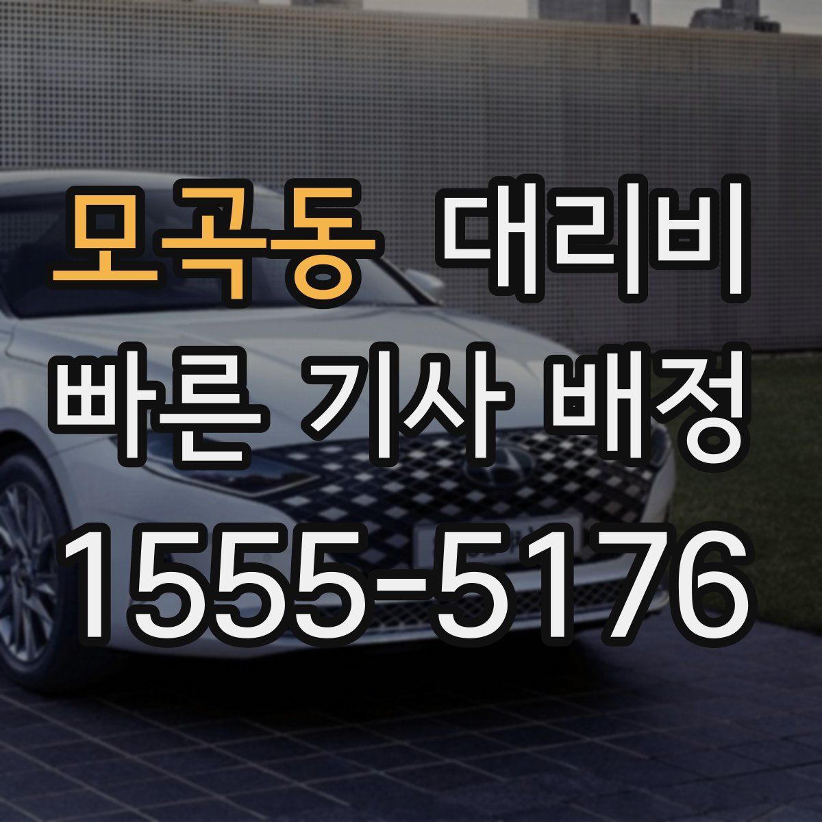 모곡동 대리운전