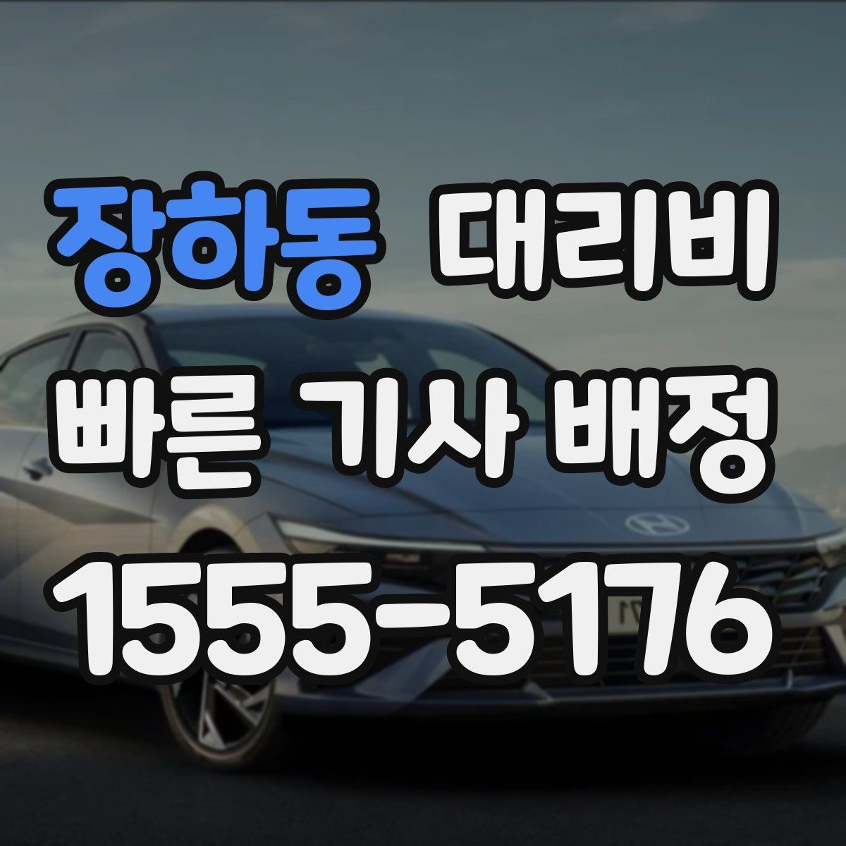장하동 대리비 출발지 위치 설명이 반입니다