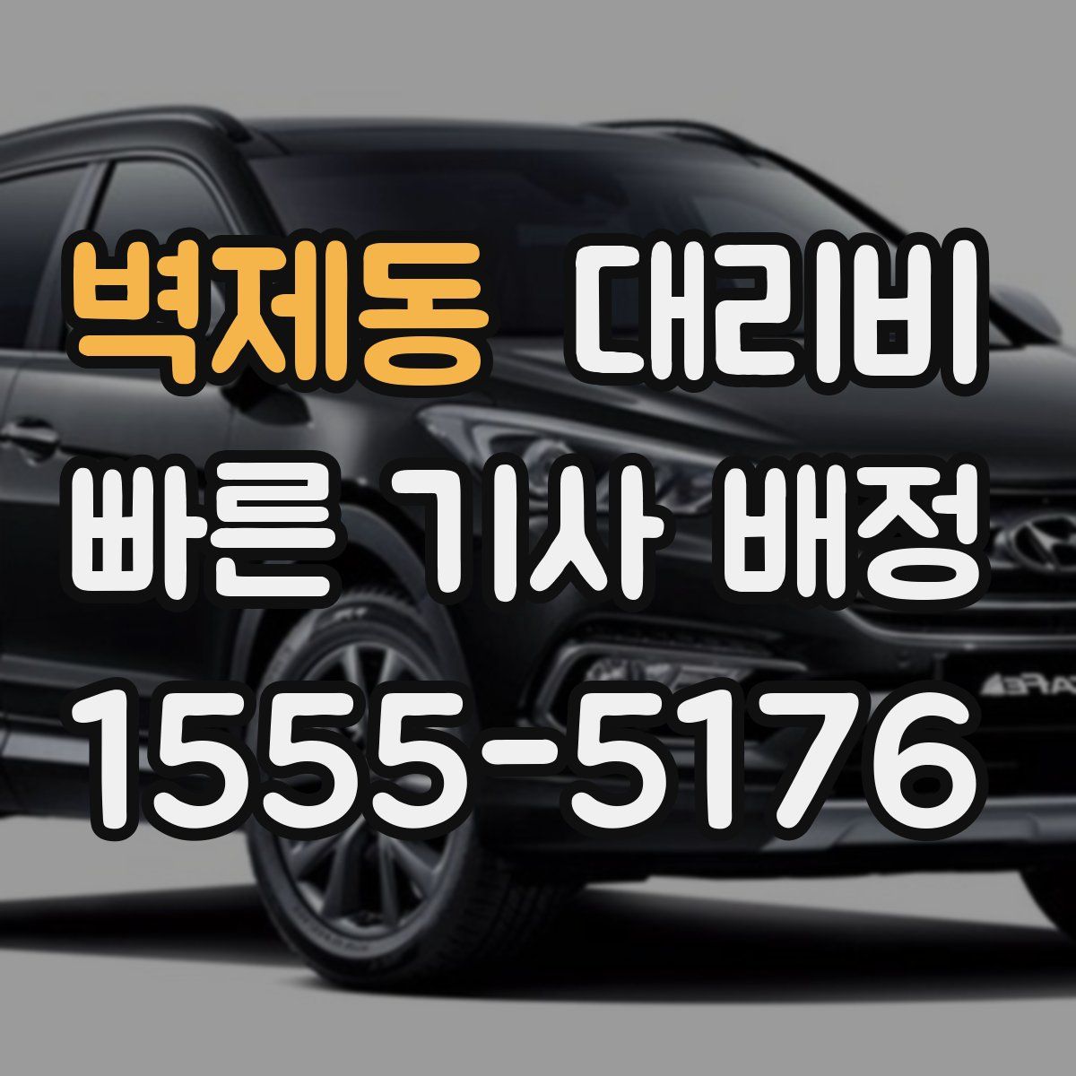 벽제동 대리운전