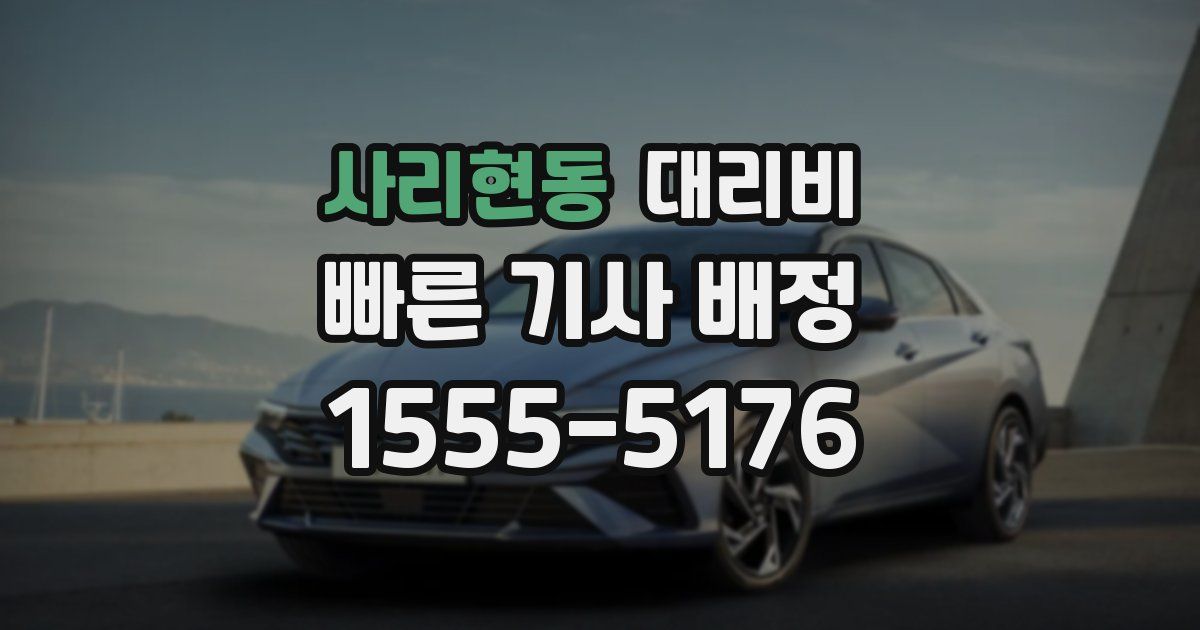 사리현동 대리운전 가격