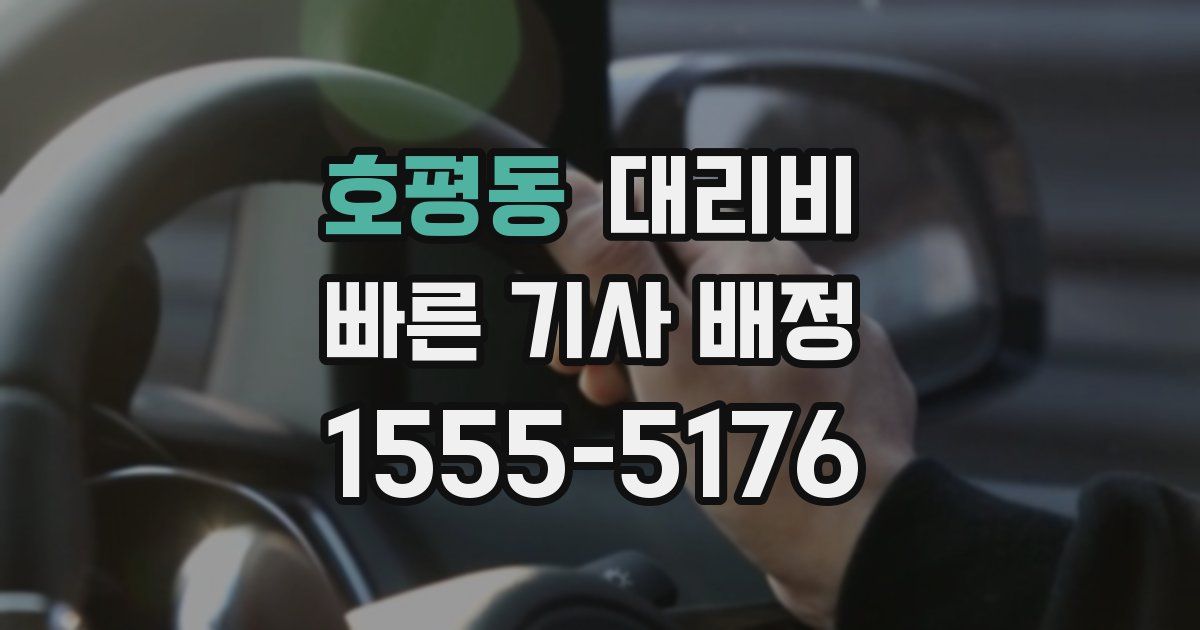 호평동 대리운전 가격