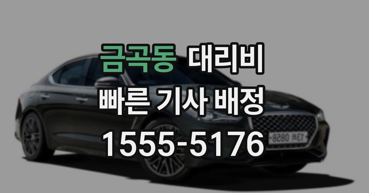 금곡동 대리운전 가격