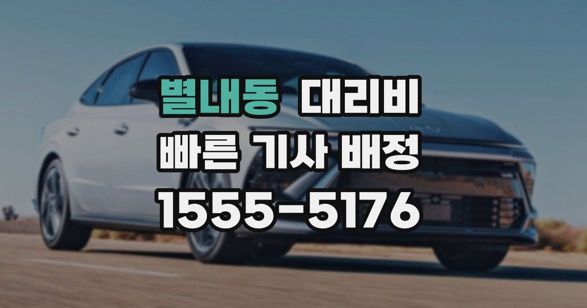 별내동 대리운전 가격