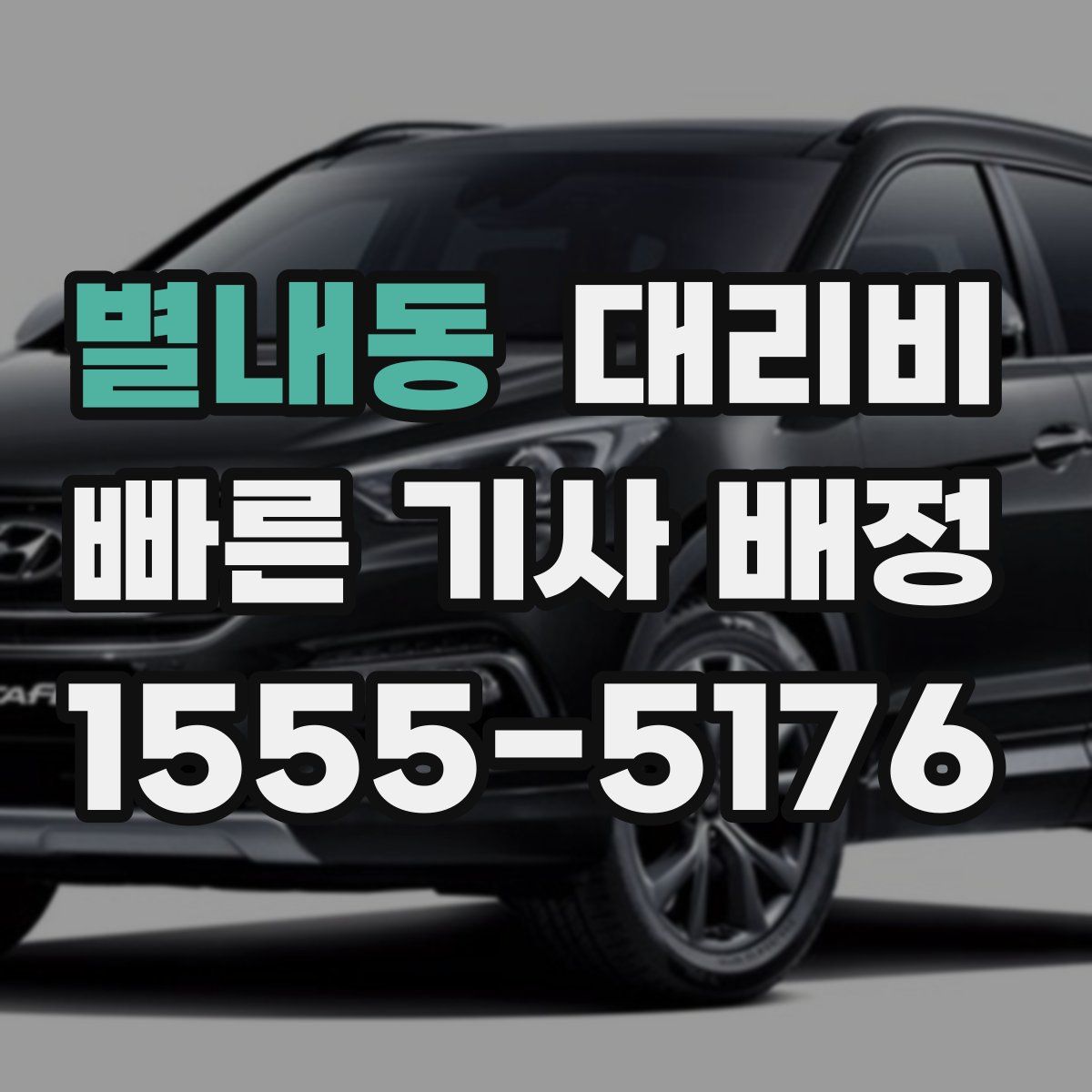 별내동 대리운전