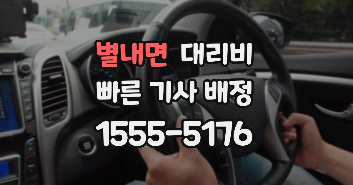 별내면 대리운전 가격