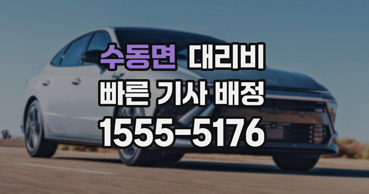 수동면 대리운전 가격