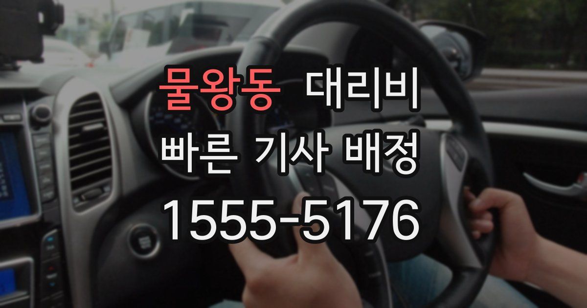 물왕동 대리운전 가격