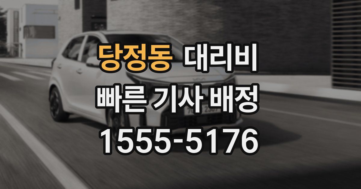 당정동 대리운전 가격