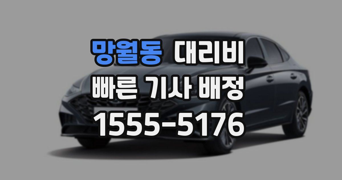 망월동 대리운전 가격