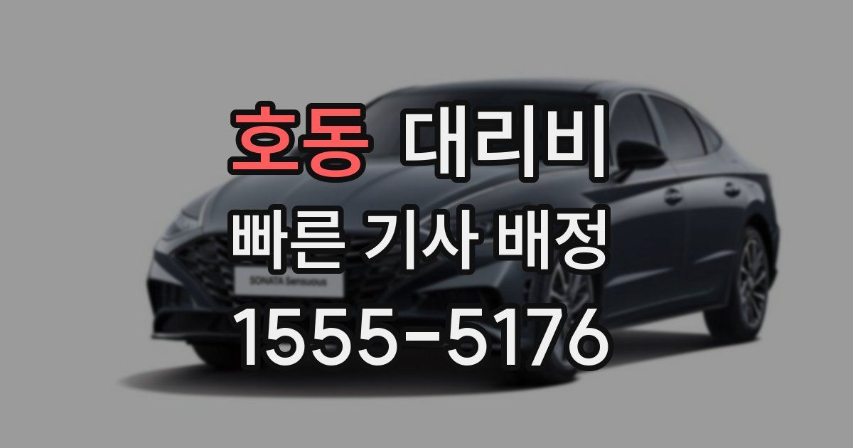 호동 대리운전 가격