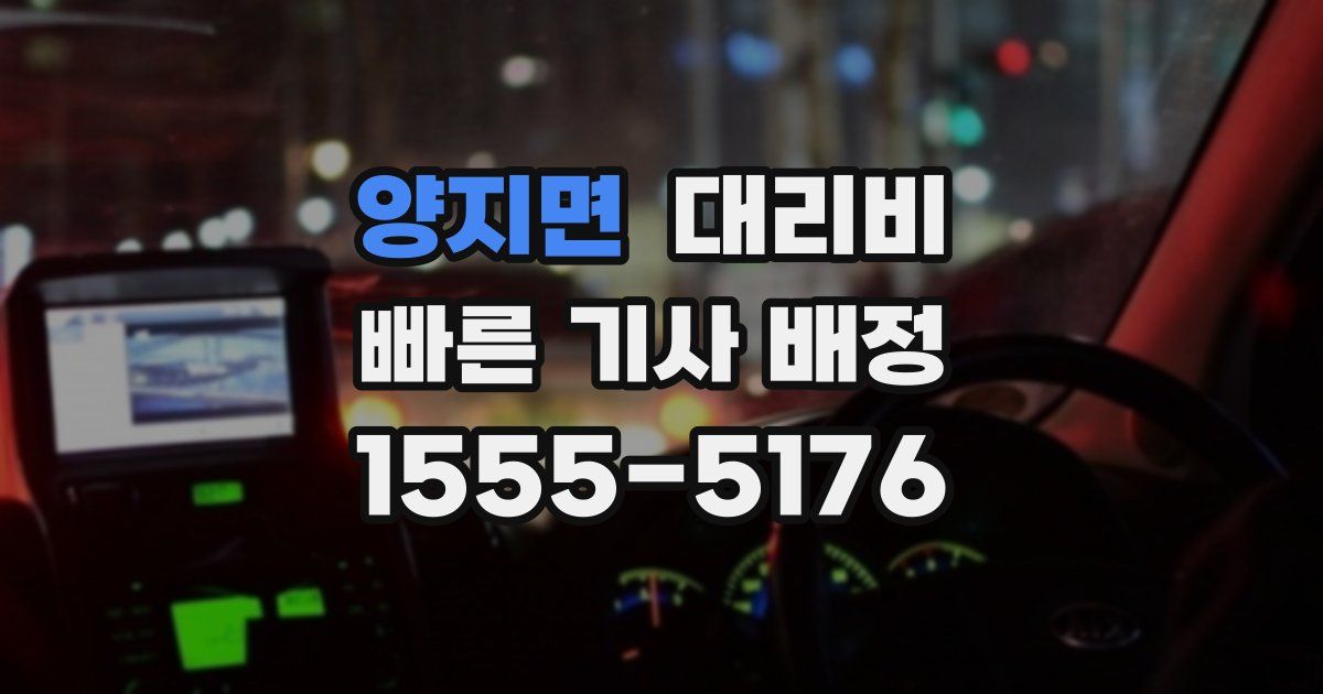 양지면 대리운전 가격