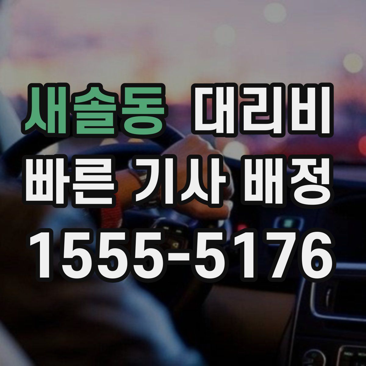 새솔동 대리운전