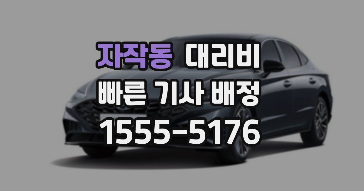 자작동 대리운전 가격