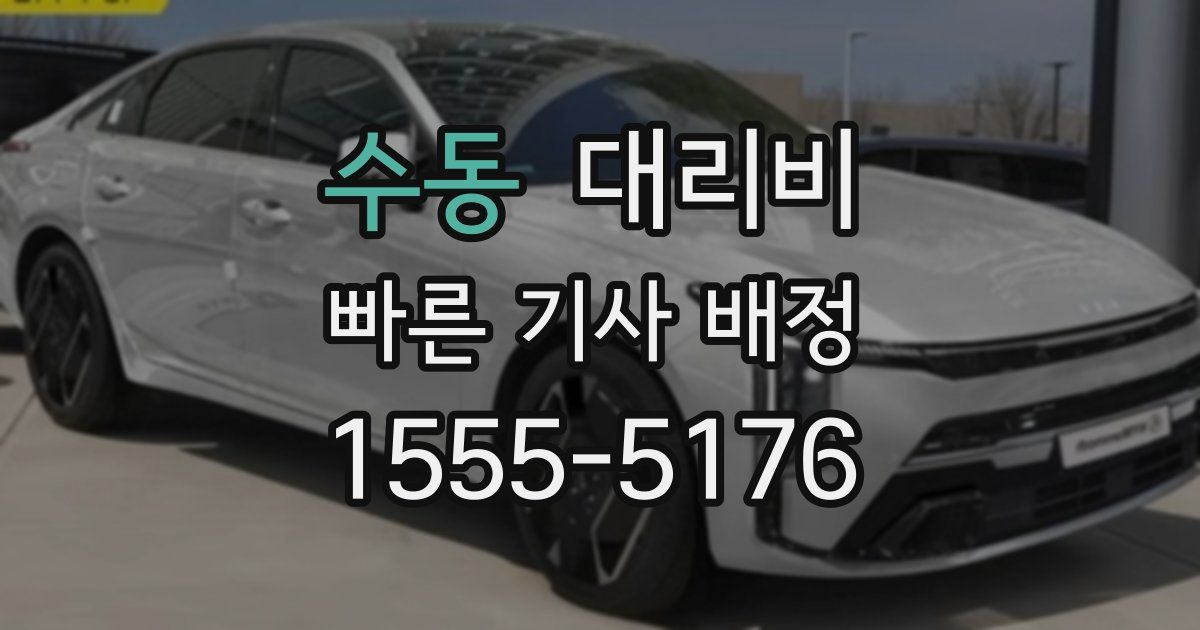 수동 대리운전 가격